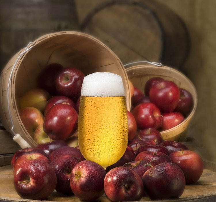 Bar Originale Archers Hard Cider Homebrew Beer Kit & Reviews Wayfair